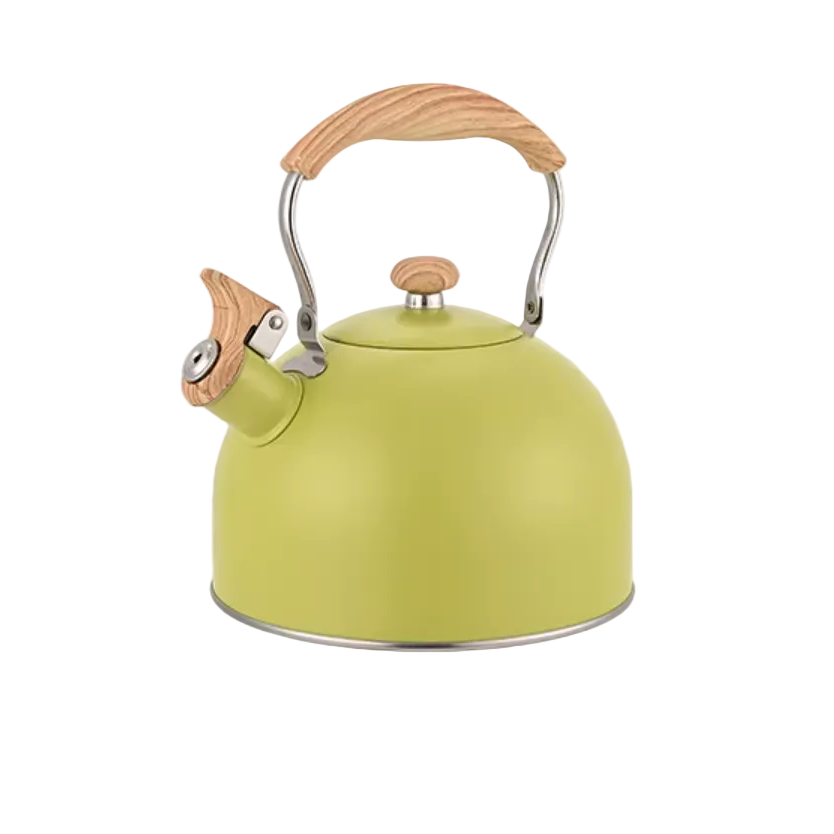 Green Vintage Whistling Kettle on a white background, spout to the left