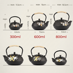 Plum Blossom Cast Iron Teapot with Infuser